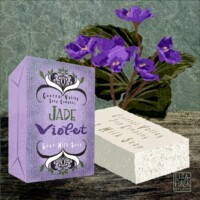 IMG 0088 1 IMG 0088 1