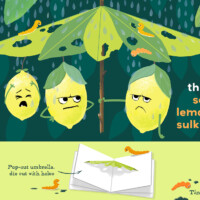 Tina Burke CBC23JULY1 Tina Burke CBC23JULY1