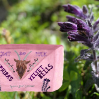 MANUELA HURNI LBC25SEPTEMBER MANUELA HURNI LBC25SEPTEMBER