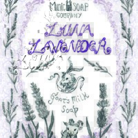 SONJA BUEHRKE LBC25SEPTEMBER SONJA BUEHRKE LBC25SEPTEMBER