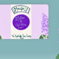 Lettering Assignment 1 Lettering Assignment 1