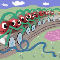 Ketchup Creek Ketchup Creek