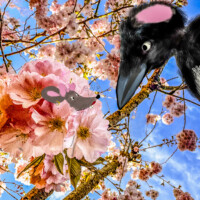 7B3DEC71 FEEB 4357 9A22 E8F2BEF7DA0F 7B3DEC71 FEEB 4357 9A22 E8F2BEF7DA0F