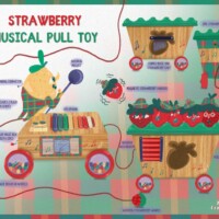 Kylee Conriquez Pull TOY Kylee Conriquez Pull TOY