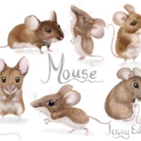 JENNY EDDEN CBCAPRIL25 JENNY EDDEN CBCAPRIL25