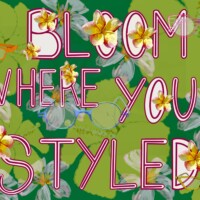 IMG 0829 1 IMG 0829 1