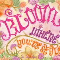 PALE THITSAR KYAW LBC25NOVEMBER PALE THITSAR KYAW LBC25NOVEMBER