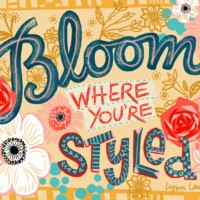 LYNN LANTZ LBC25NOVEMBER LYNN LANTZ LBC25NOVEMBER