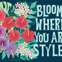 Marla Norton LBC25NOVEMBER Marla Norton LBC25NOVEMBER