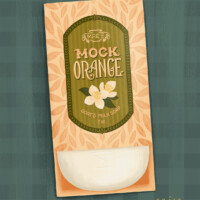 Erin Niehenke LBC25SEPTEMBER Erin Niehenke LBC25SEPTEMBER